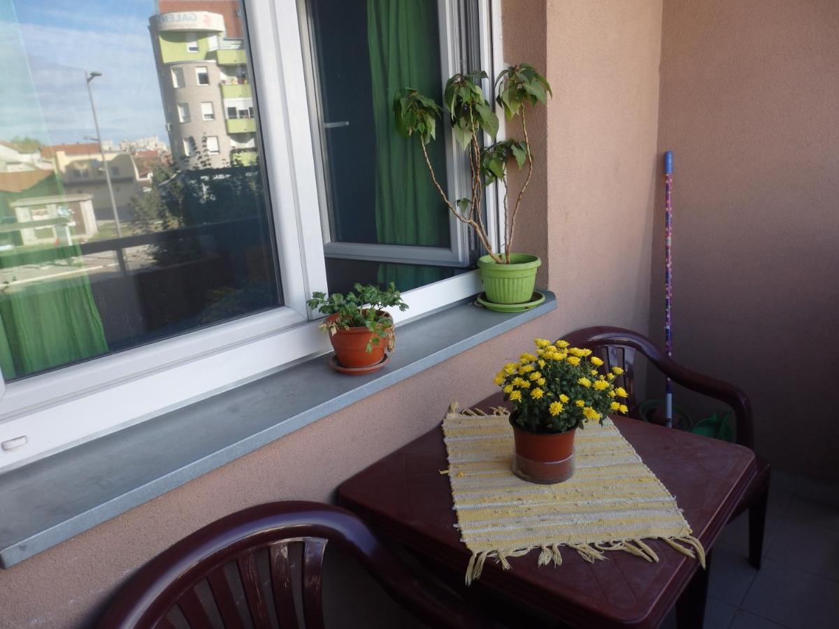 Apartment Erika 2 Novi Sad Exteriér fotografie