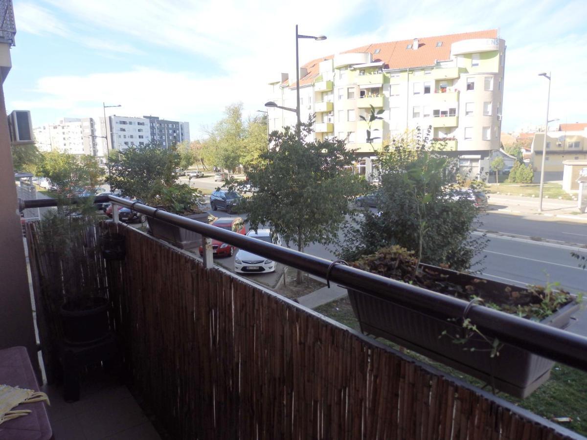 Apartment Erika 2 Novi Sad Exteriér fotografie