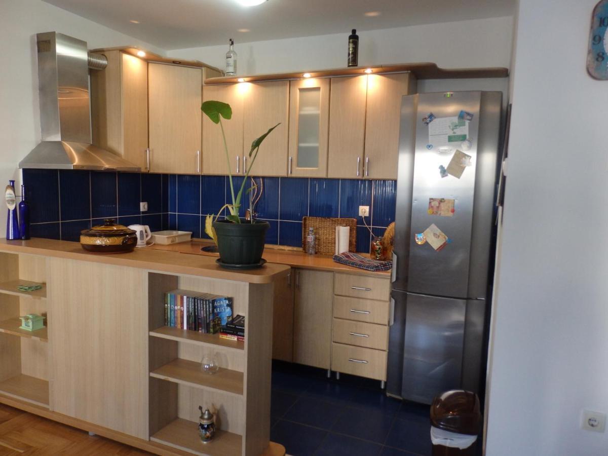 Apartment Erika 2 Novi Sad Exteriér fotografie